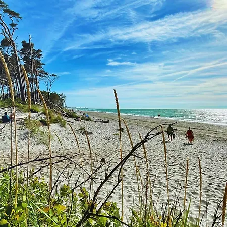 Künstlerhaus Rosenthal 01 Сasa de vacaciones Ahrenshoop